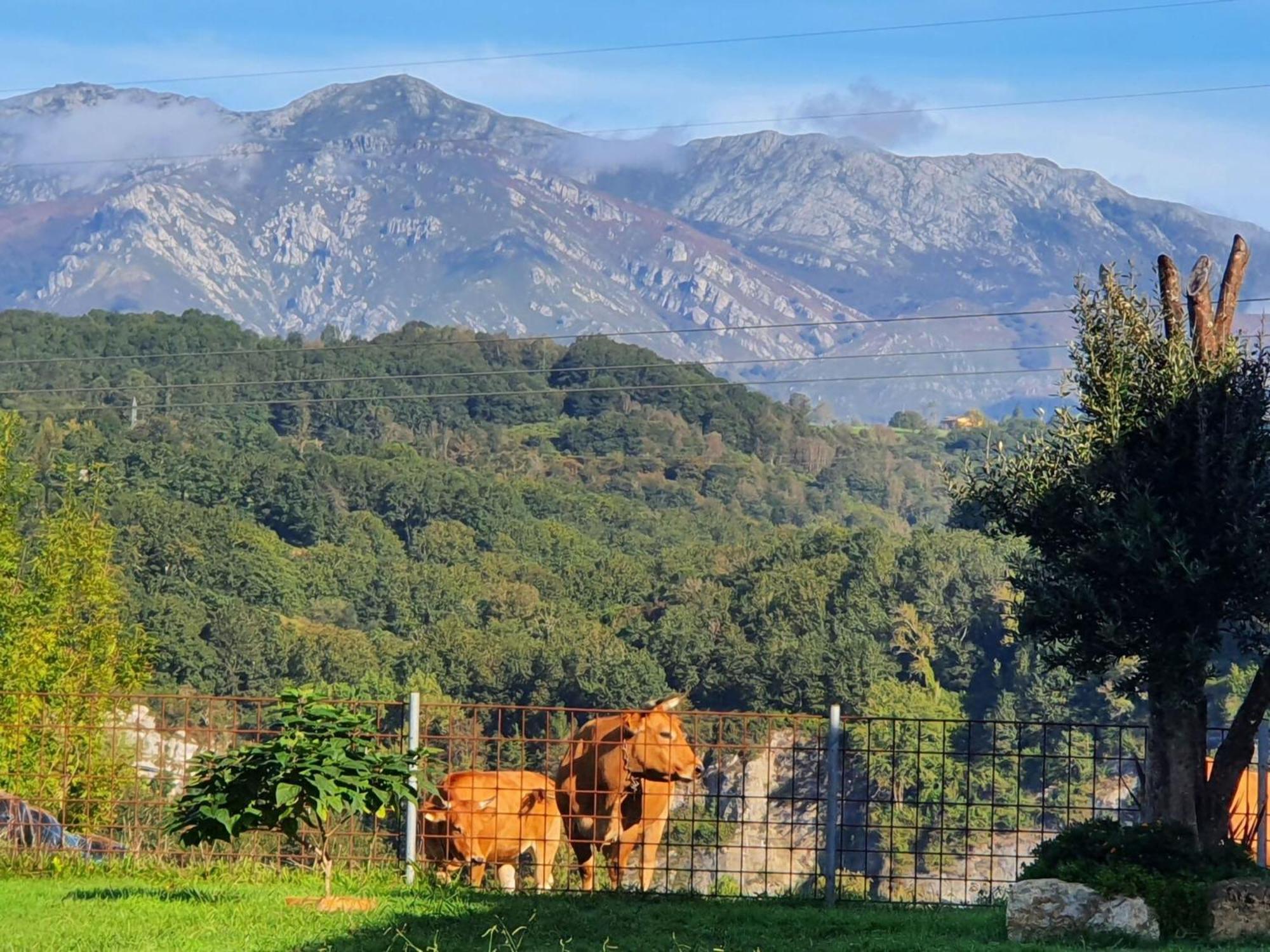 La Torre De Llames Arriondas Εξωτερικό φωτογραφία